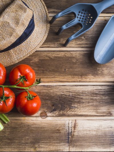 Сад, Огород, Сельское хозяйство